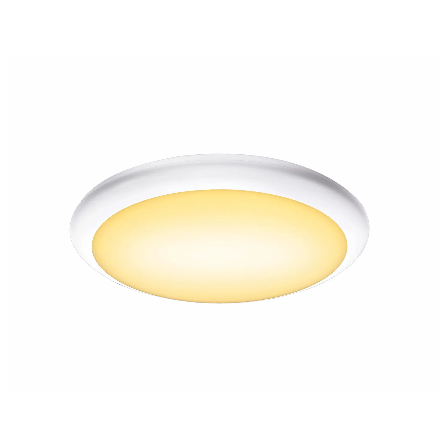 RUBA 27 CW, Outdoor led wand- und plafondopbouwlamp wit CCT-switch 300