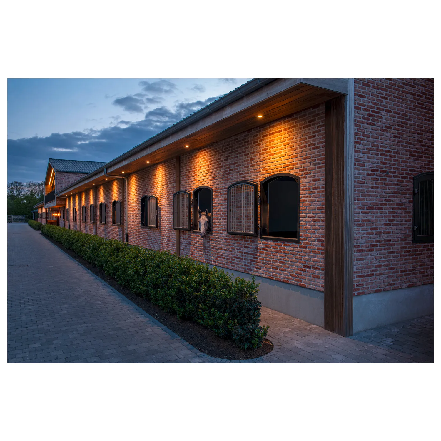 NEW TRIA®, led module 2700K, 38°, FASE, zwart