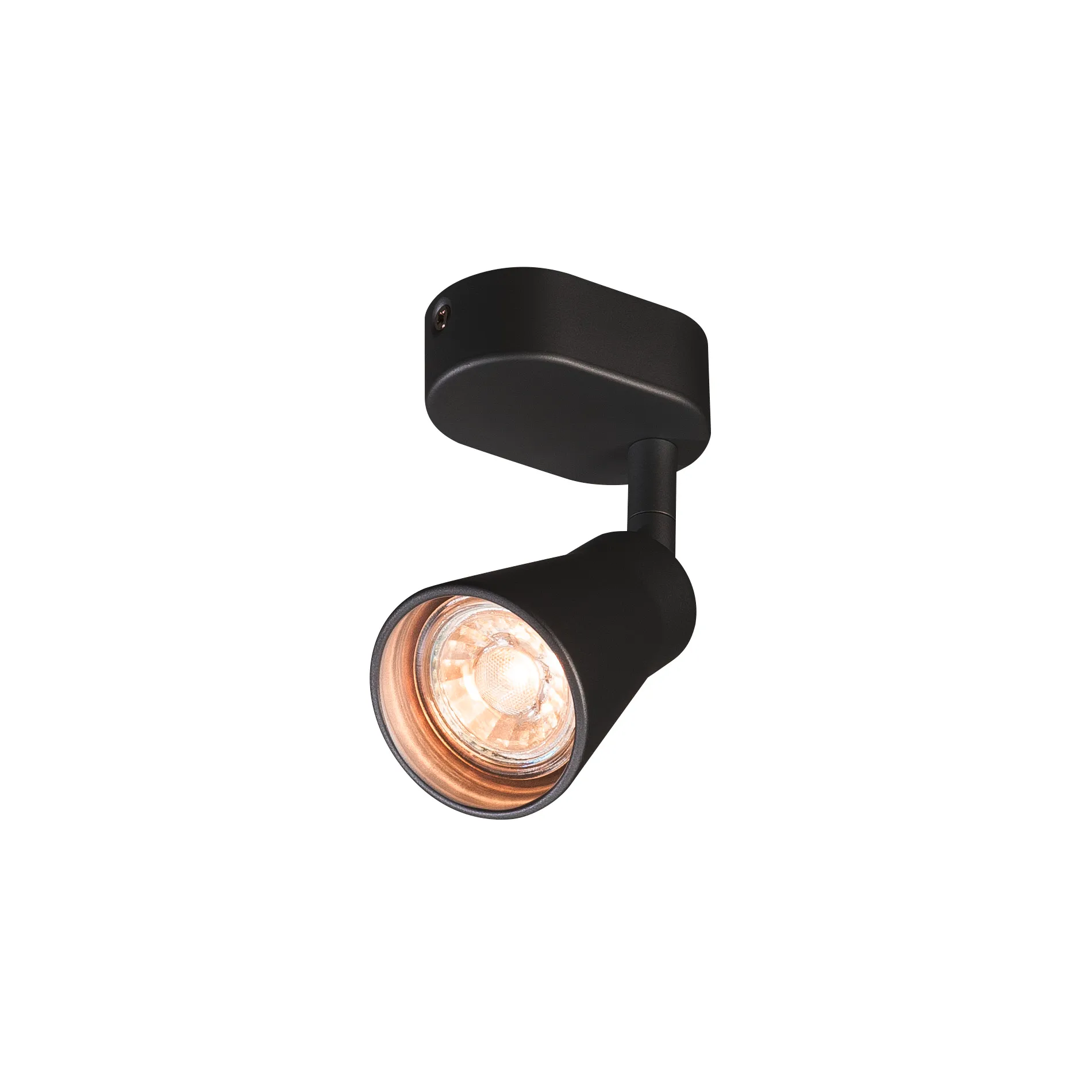 AVO CW Single, indoor wand- en plafondopbouwlamp, QPAR51, zwart, max.