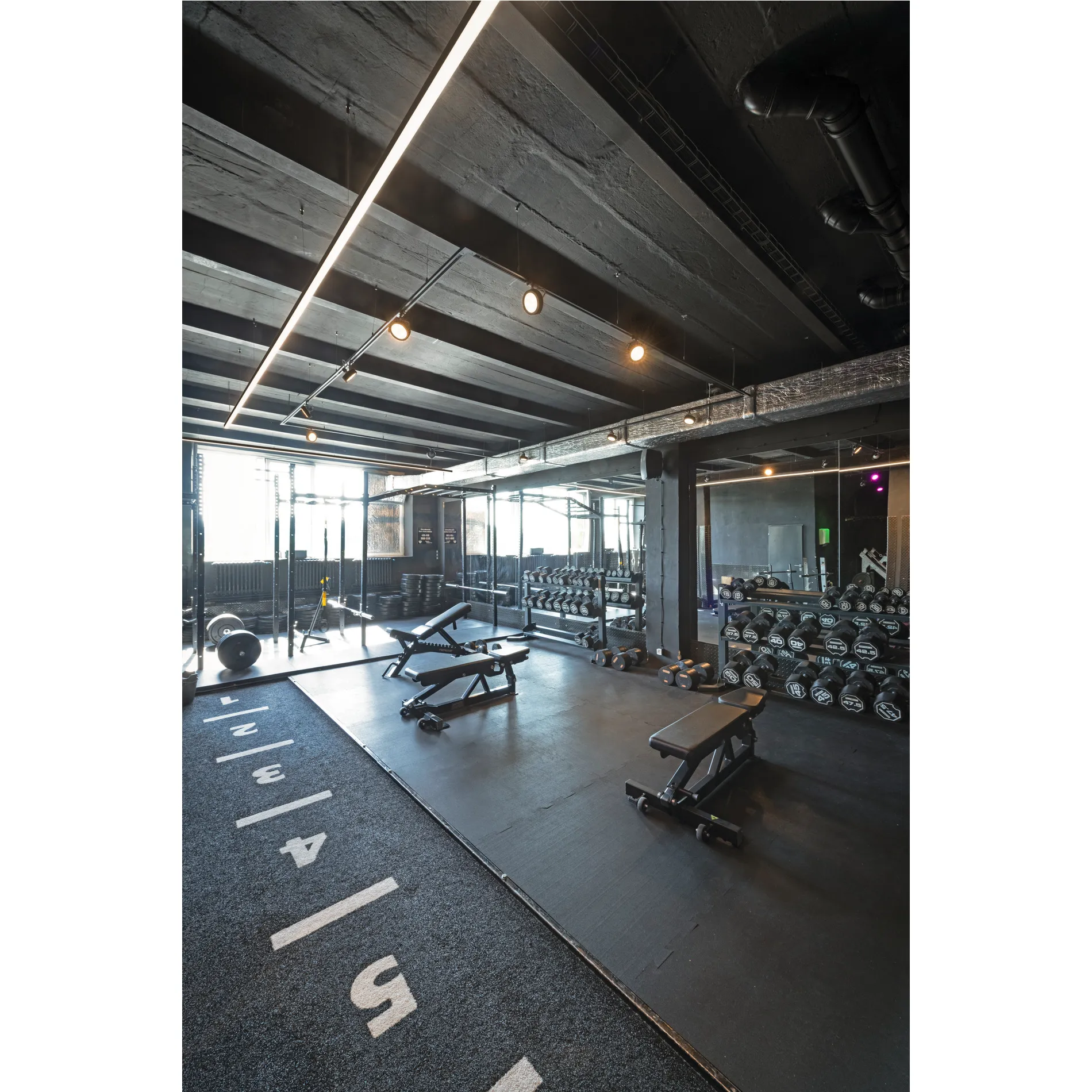 GRAZIA PRO FLEXSTRIP, 24 V 2700-6500 K IP54