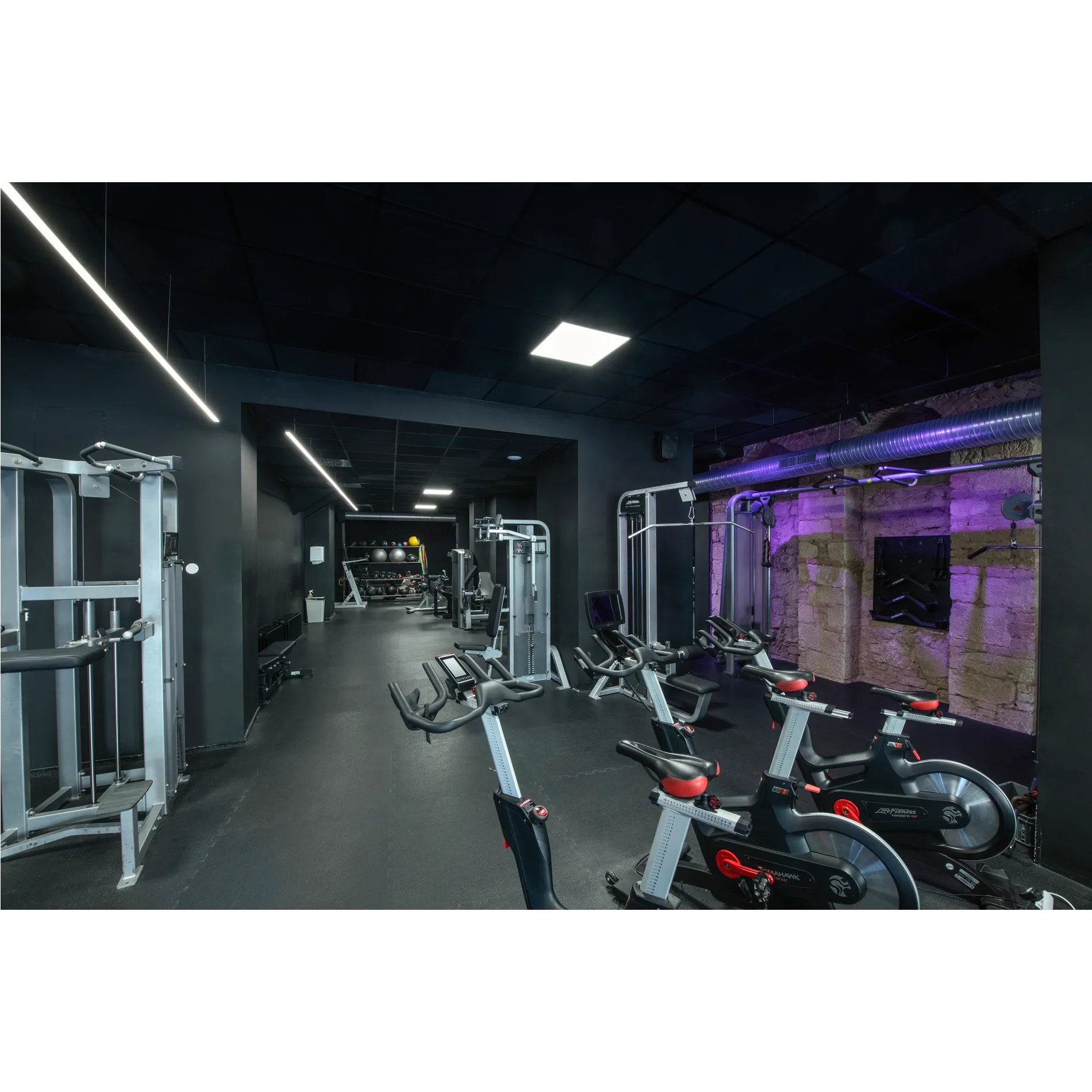 GRAZIA PRO FLEXSTRIP, 24 V 2700-6500 K IP54