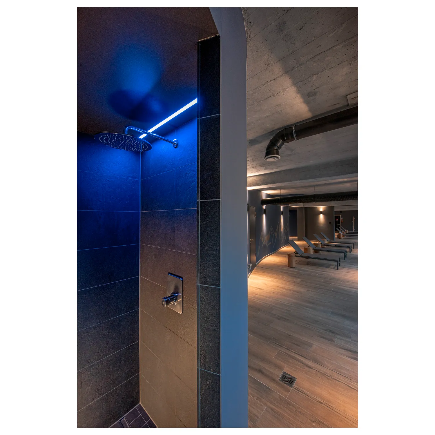 GRAZIA PRO, FLEXSTRIP 24 V 12 mm RGBW