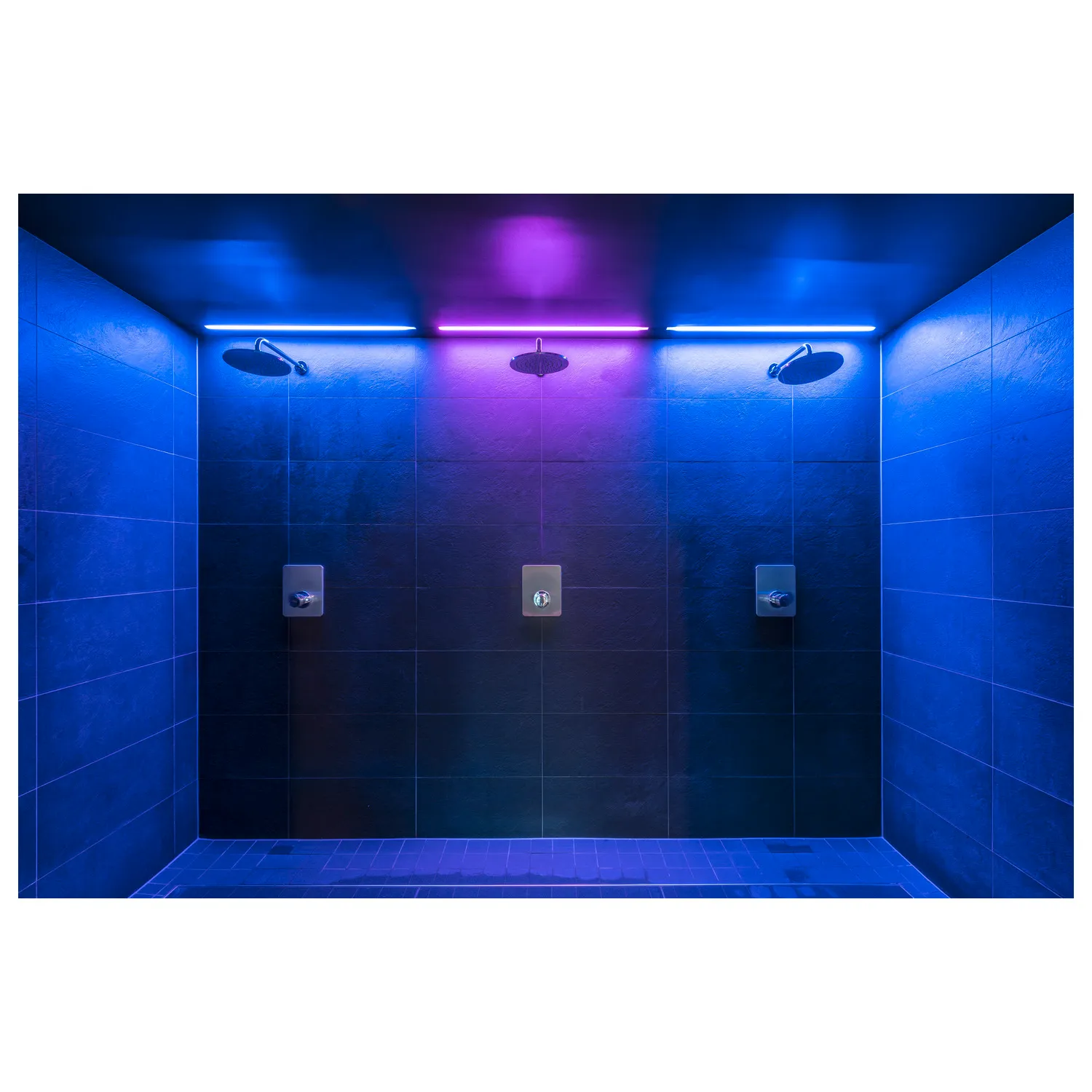 GRAZIA PRO, FLEXSTRIP 24 V 12 mm RGBW