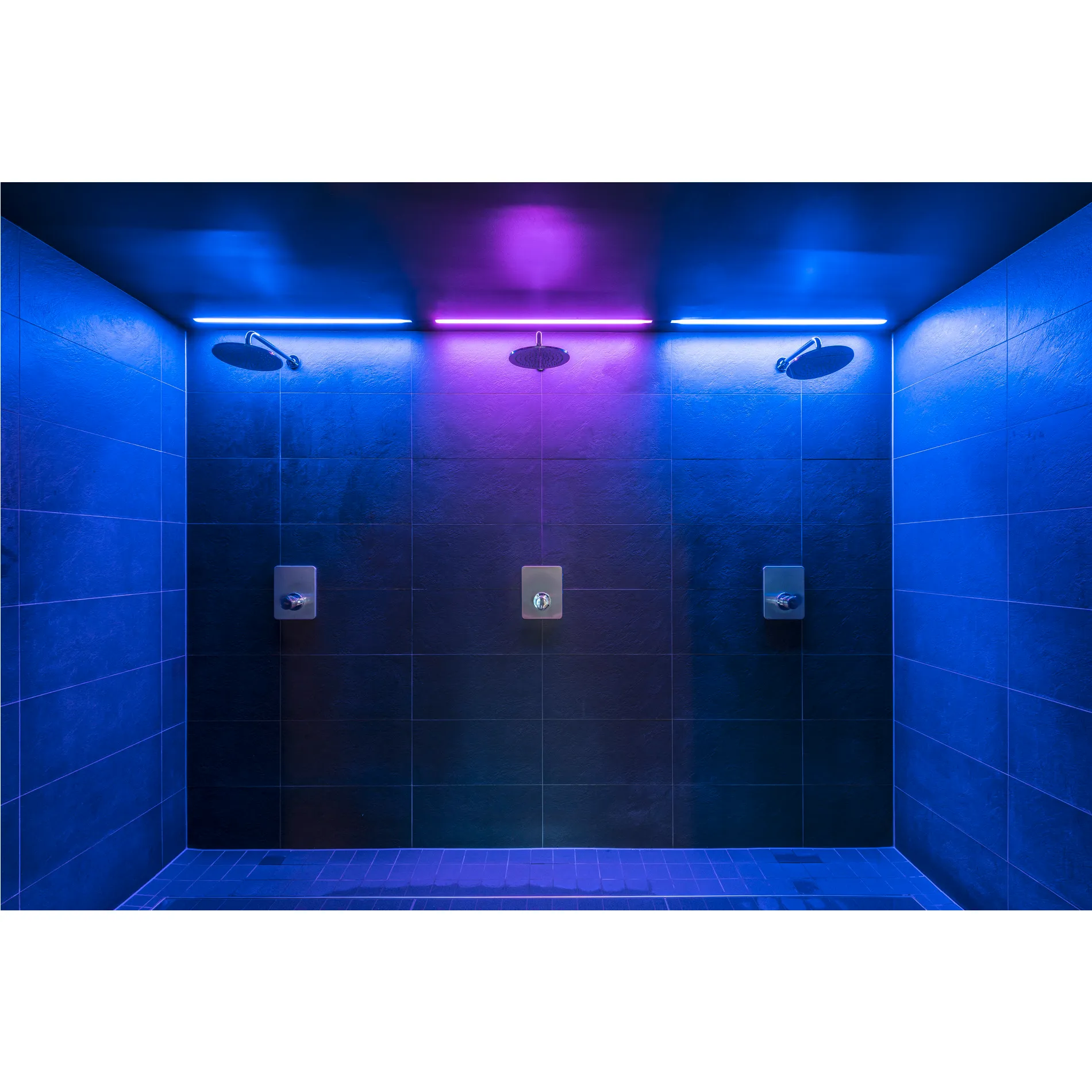 GRAZIA PRO, FLEXSTRIP 24 V 12 mm RGBW