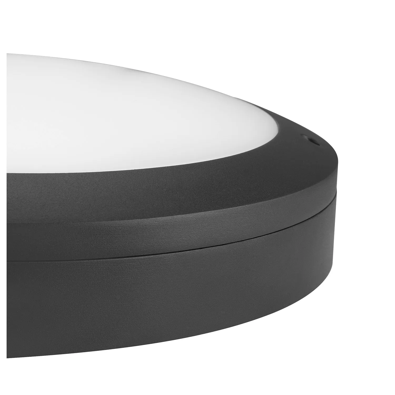 OUTDOOR BULKHEAD V 360, 20W 830/840 IP65 IK10 Sensor