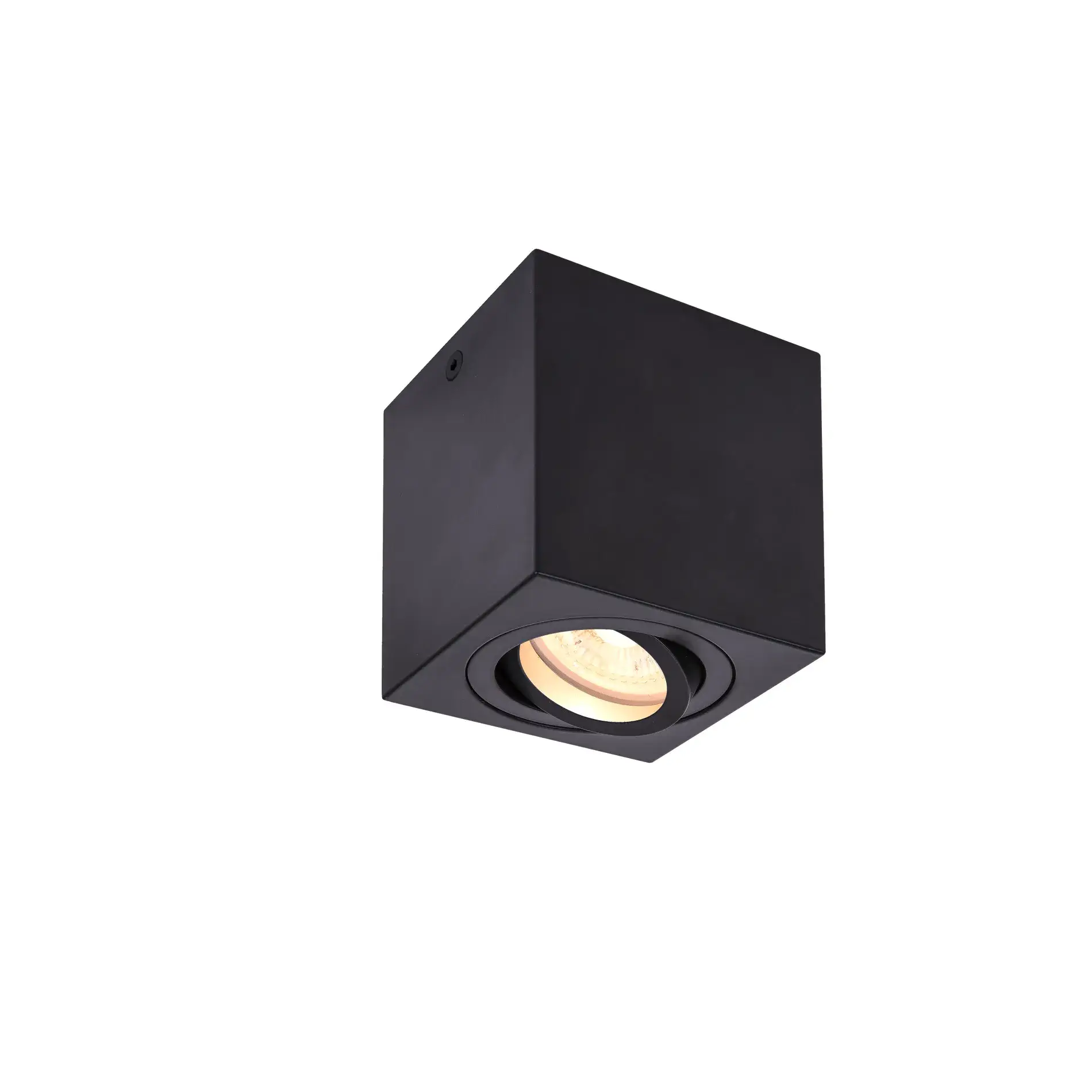 TRILEDO CL, indoor plafondopbouwlamp, QPAR51, zwart, max 10W