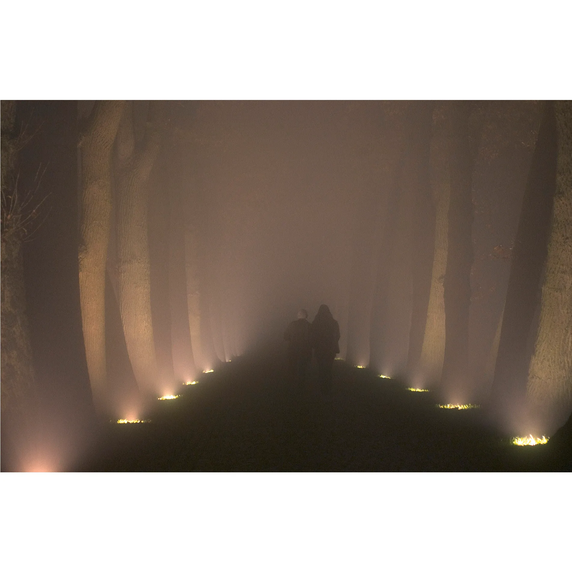 DASAR ES111, grondspot, rond, inox 316, max. 75W, IP67