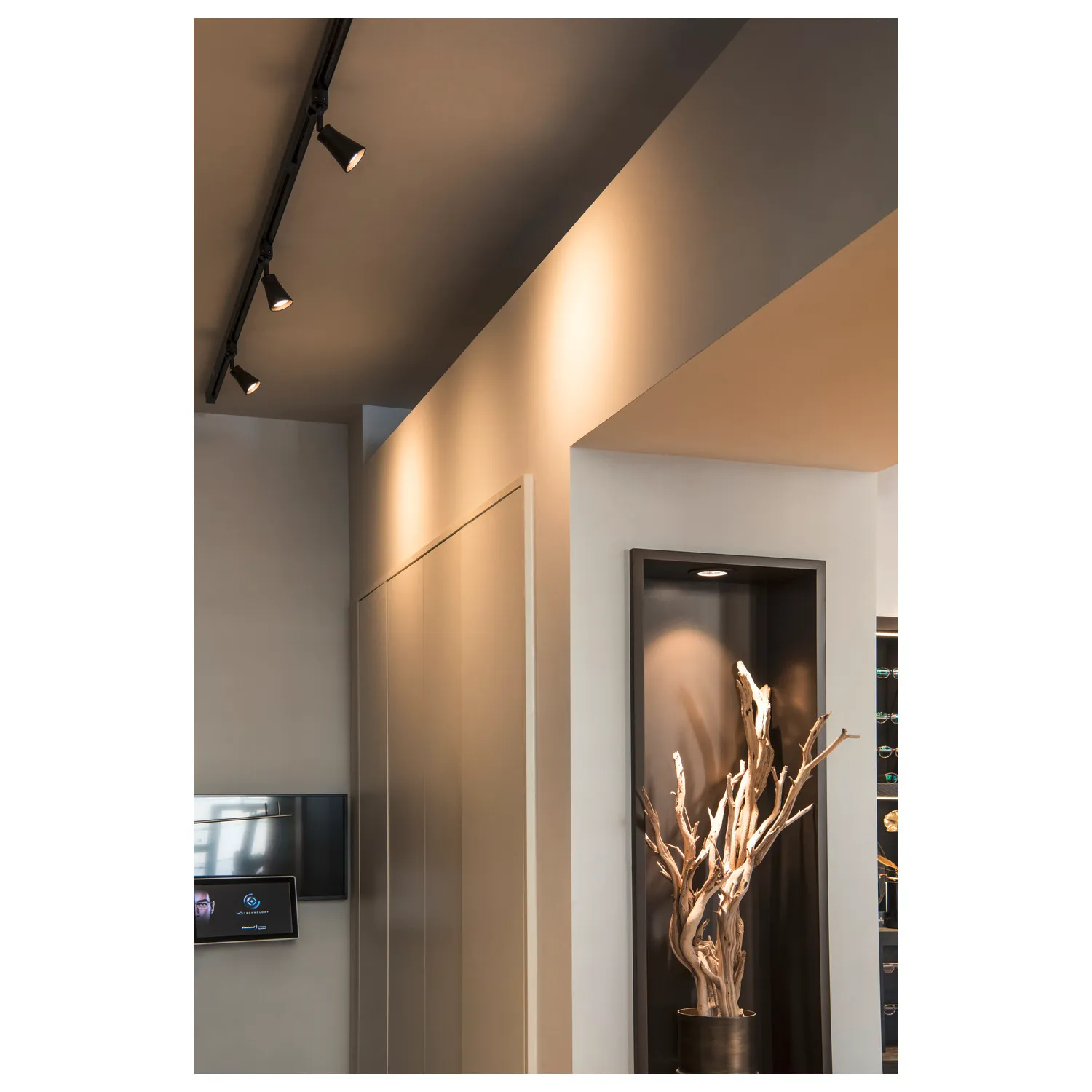 AVO spot incl. 3-fase adapter, zwart, 1x GU10, max. 50 W