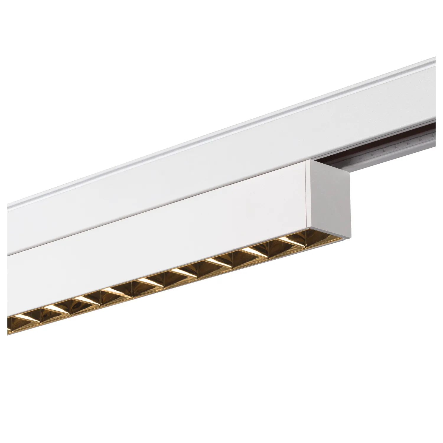 IN-LINE 22 48V TRACK, Darklight Reflector, DALI, spot, wit/wit, 7,3W,