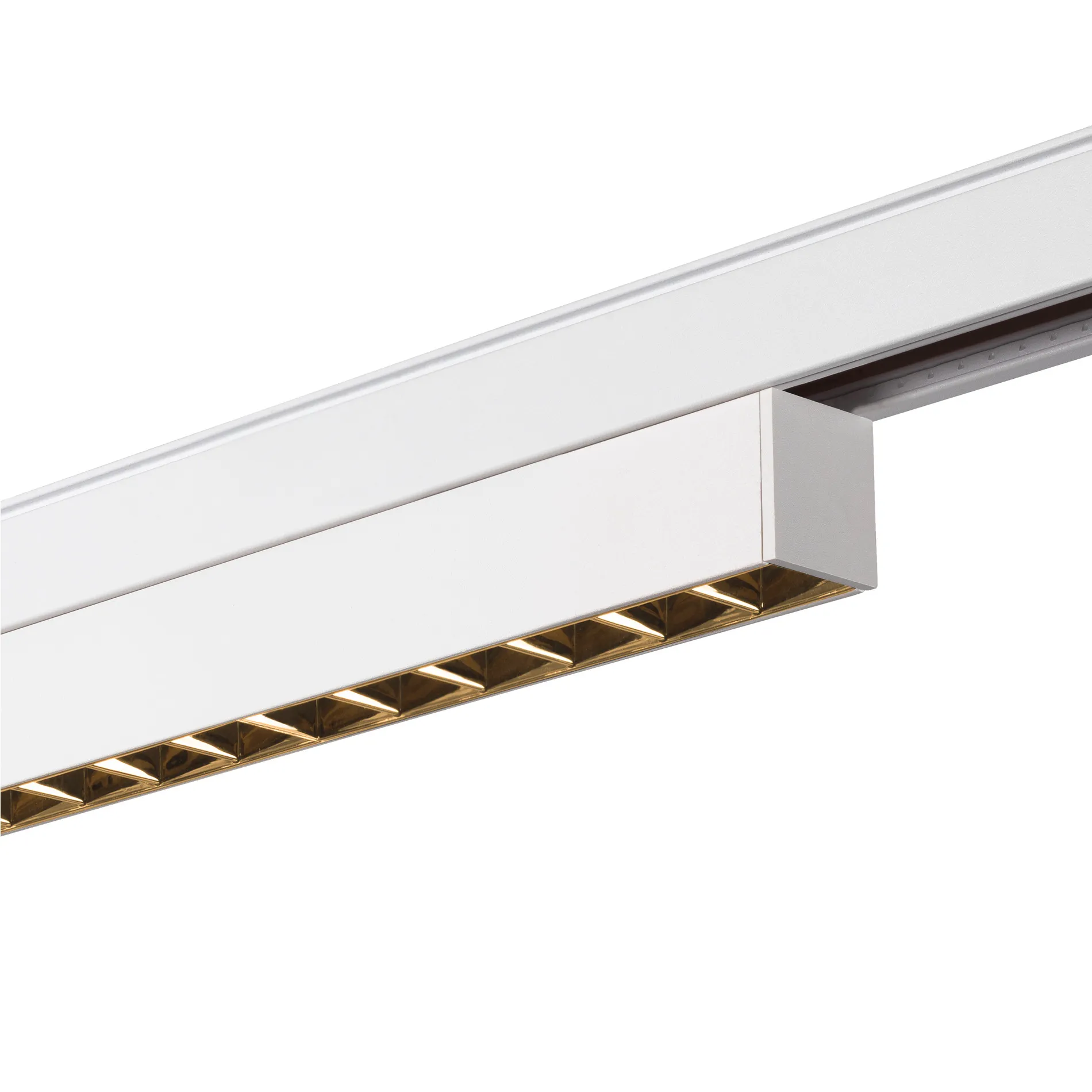 IN-LINE 22 48V TRACK, Darklight Reflector, DALI, spot, wit/wit, 7,3W,