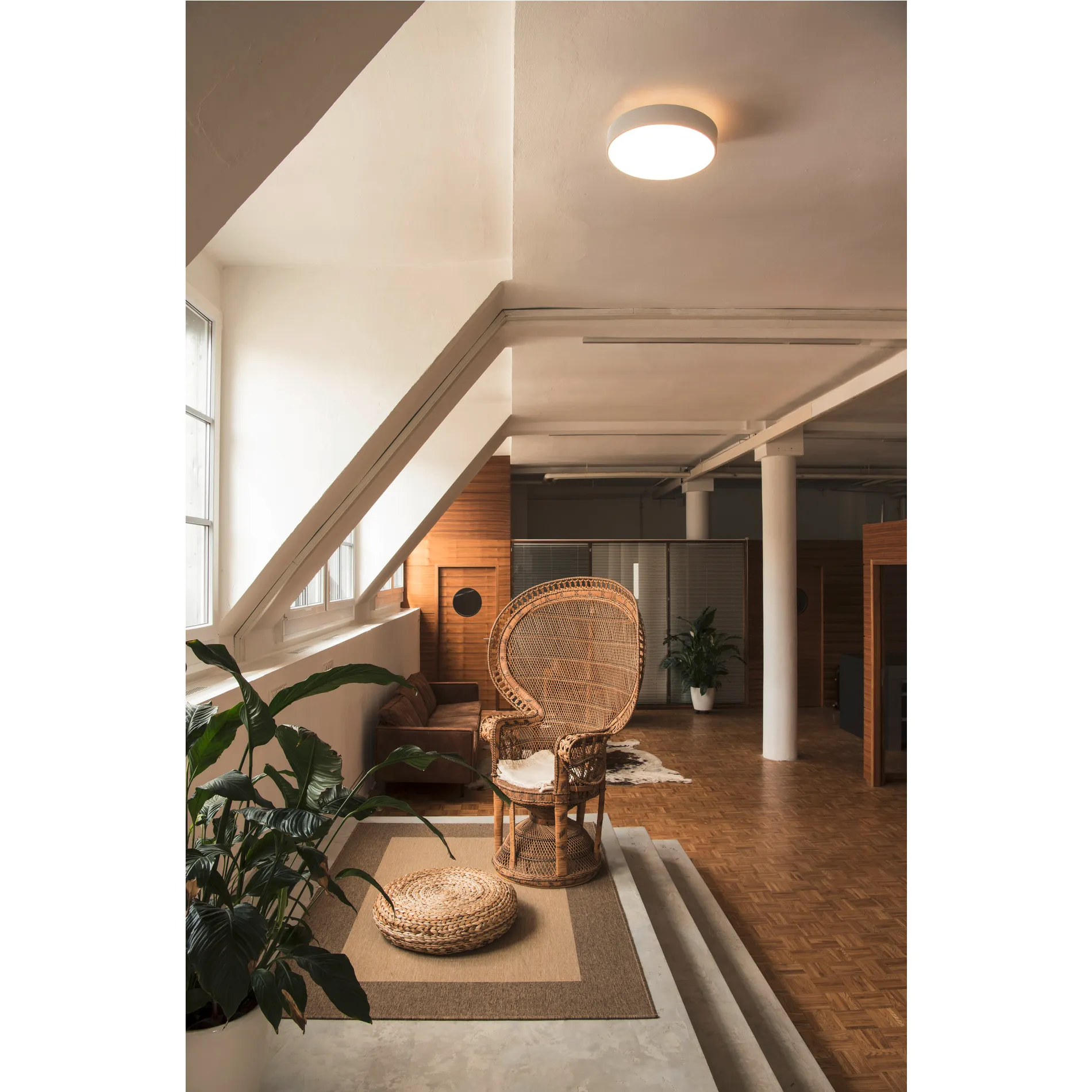 MEDO® 40, wand- en plafondopbouwarmatuur, rond, 2700/3000/4000K, 20W,