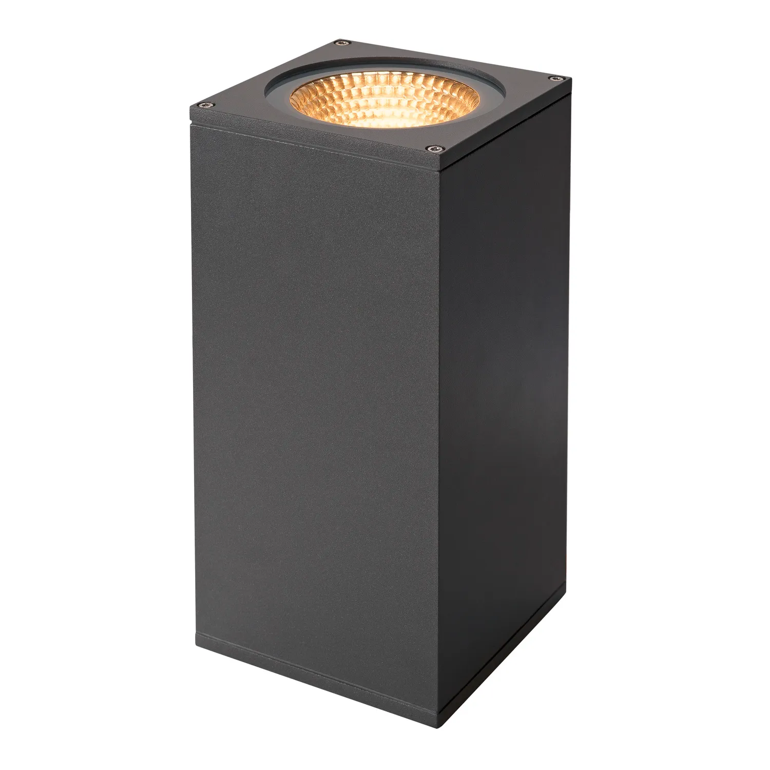 BIG THEO WALL, outdoor wandarmatuur, geschikt voor twee lichtbronnen,