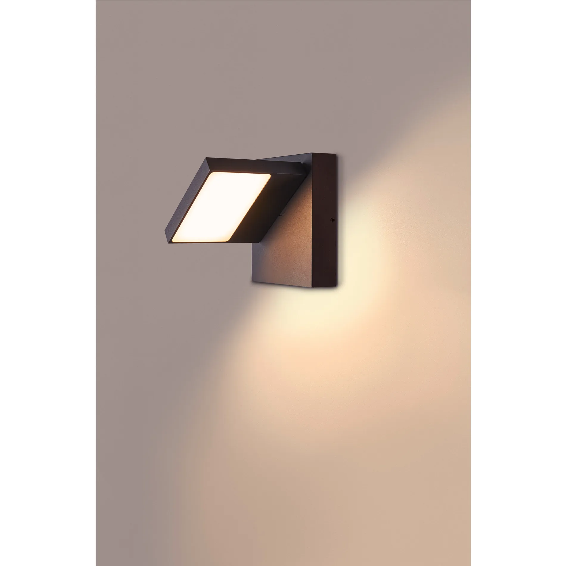 ABRIDOR Outdoor LED wandopbouwarmatuur IP55 antraciet 3000/4000K