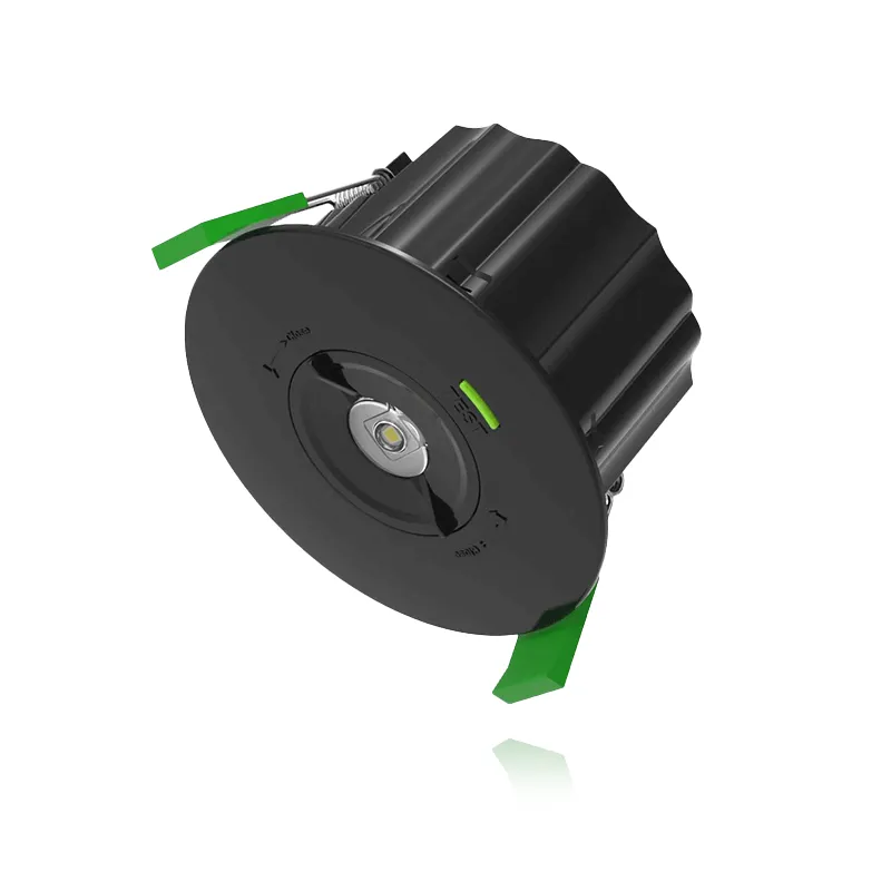 LED IN/OPBOUW NOODVERLICHTING | ADRASTE | ZWART