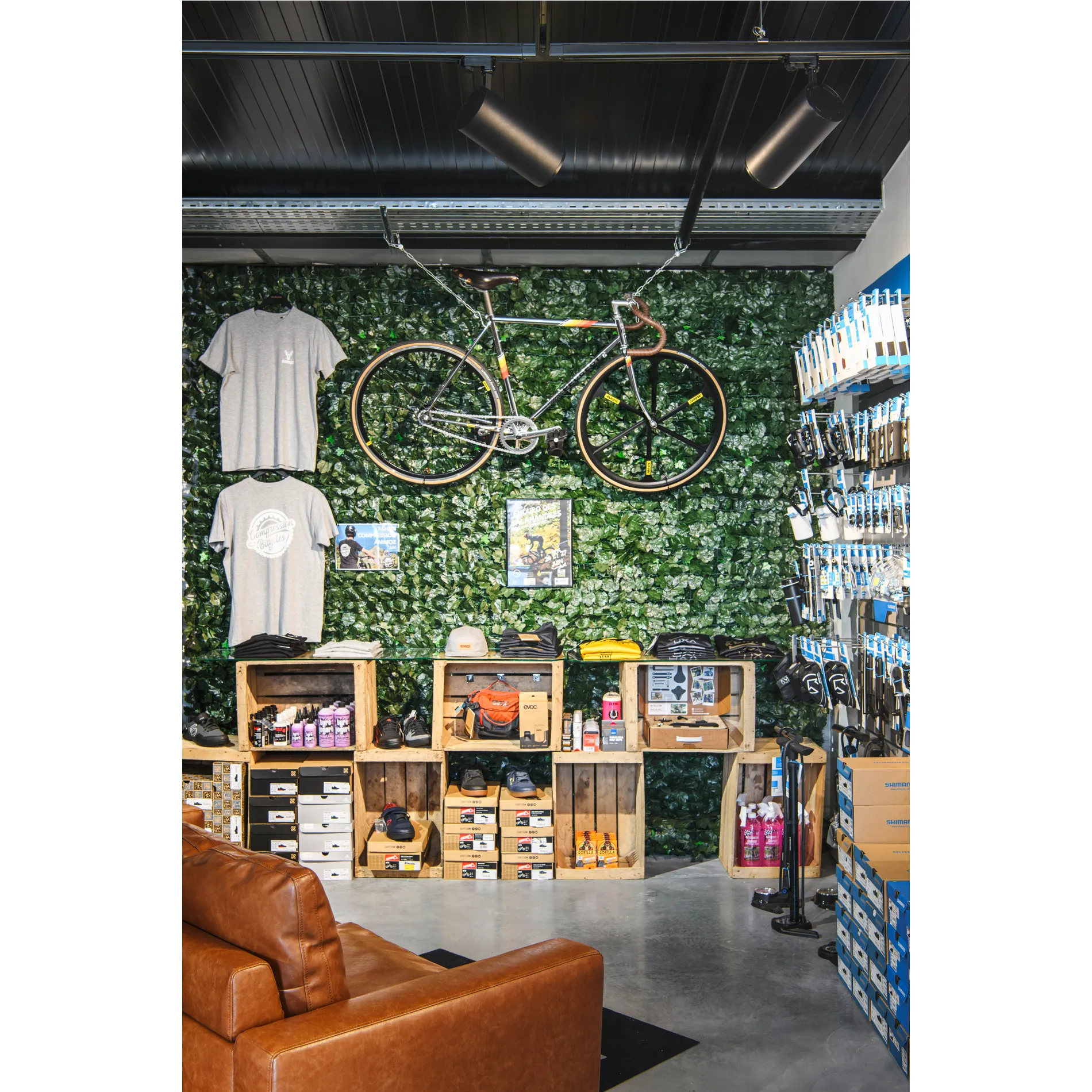 NUMINOS® XL FASE, 3-fase spot zwart 36W 3000K 36°