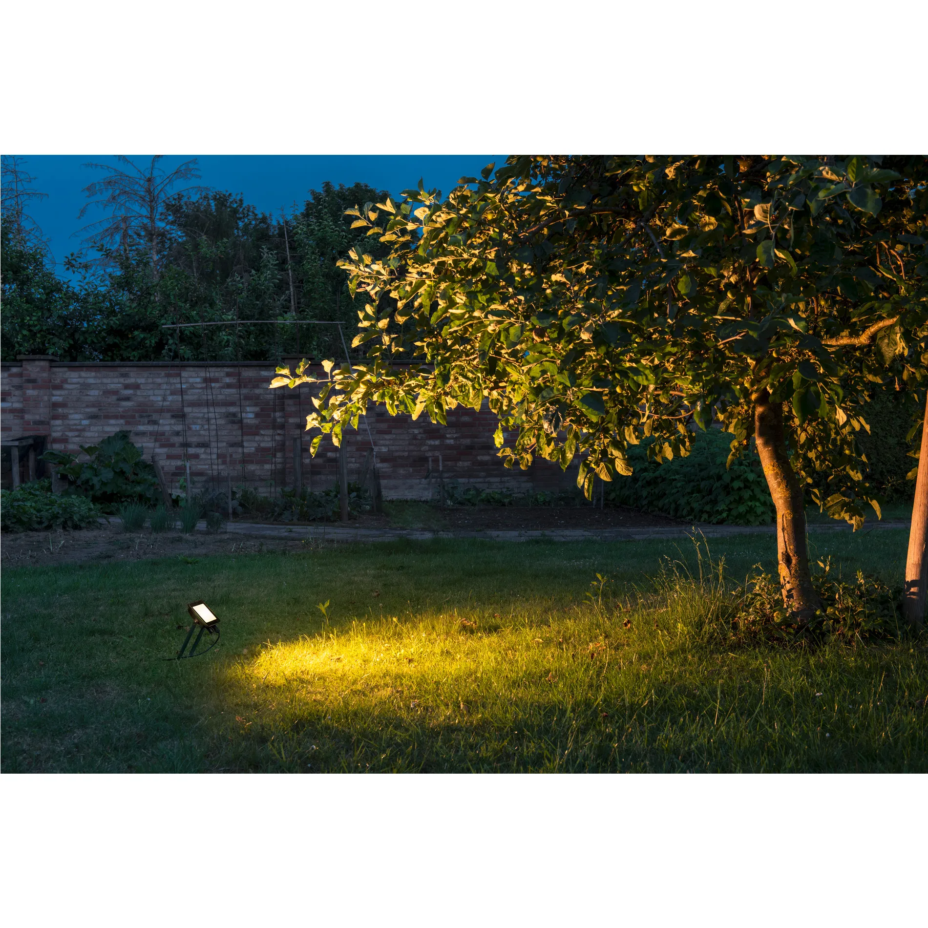 FLOODI M, wand- en plafondopbouwarmatuur antraciet / transparant 30W 3