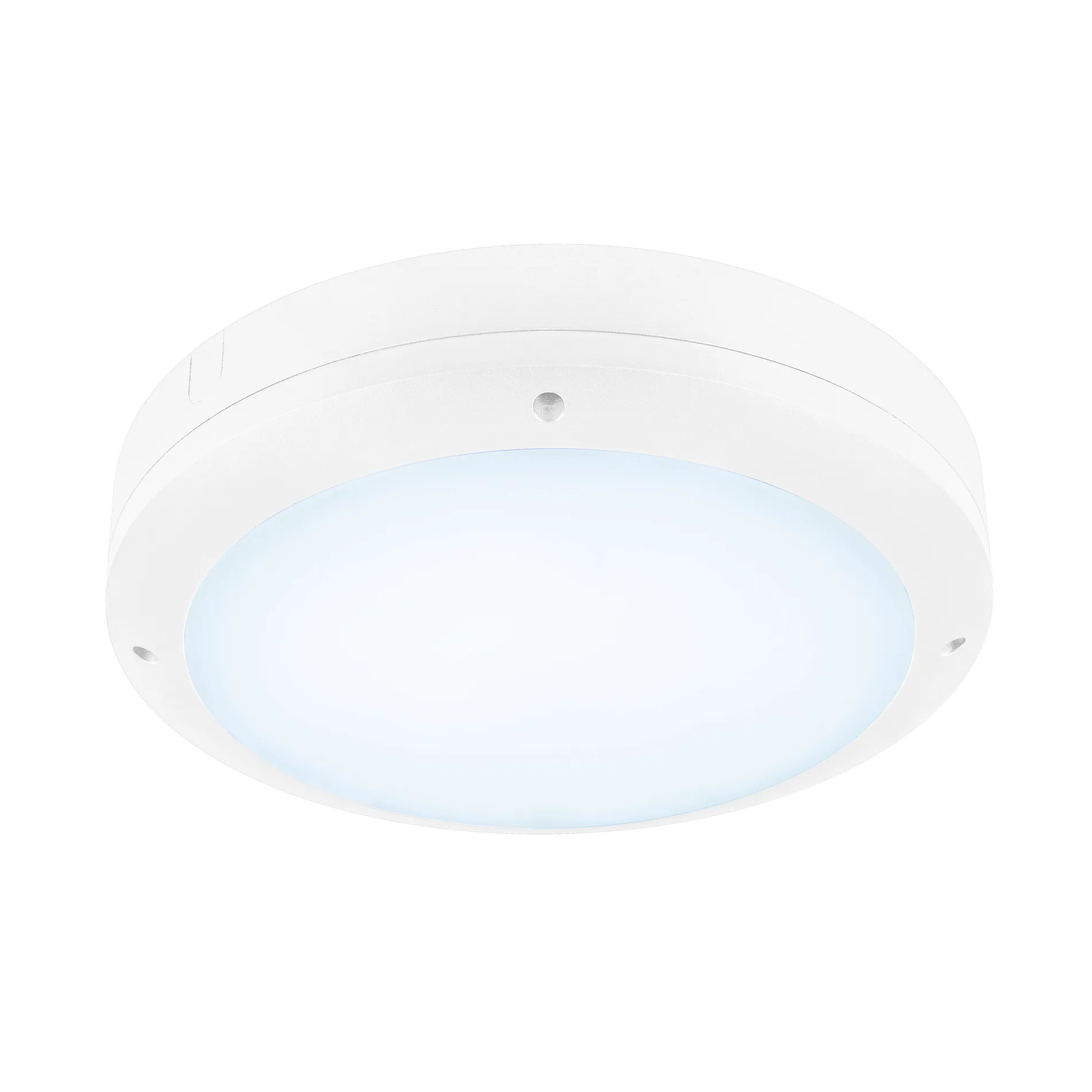 OUTDOOR BULKHEAD V 360, 20W 830/840 IP65 IK10 wit