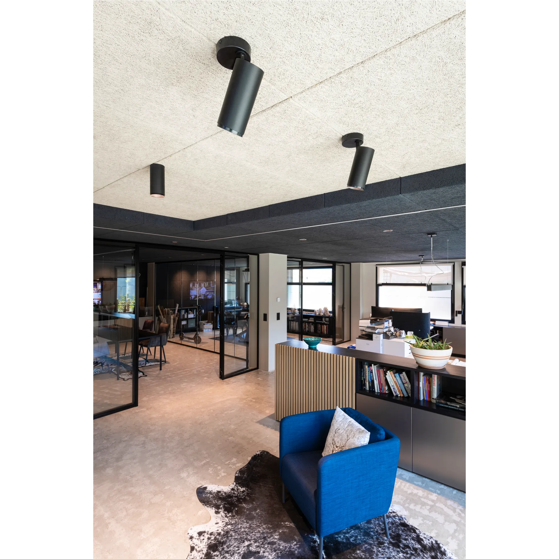 NUMINOS® SPOT XL FASE, plafondopbouwarmatuur zwart 36W 3000K 60°